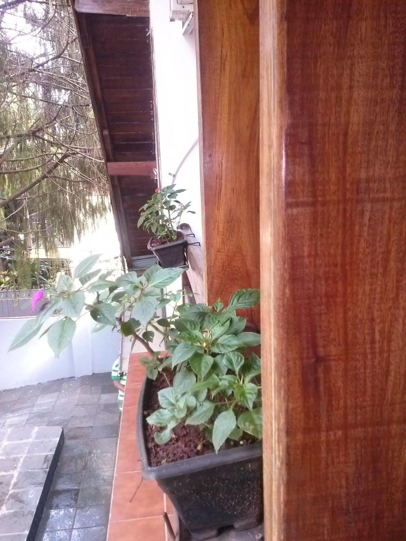 Petit Hotel Caraguata Porto Iguaçu Exterior foto
